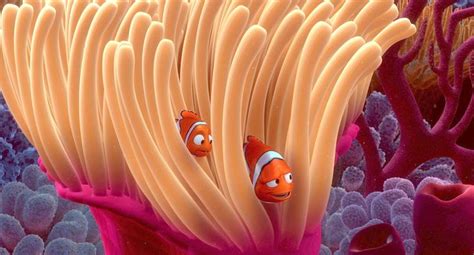 12 Things You Didnt Know About Finding Nemo Oh My Disney Finding