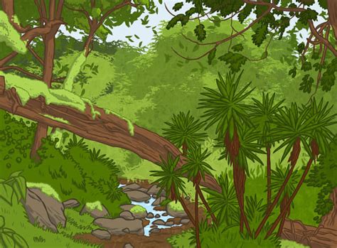 Top 20 Rainforests Facts For Kids Twinkl Homework Help