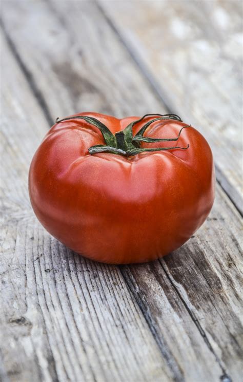 Single Tomato Free Stock Photo Public Domain Pictures