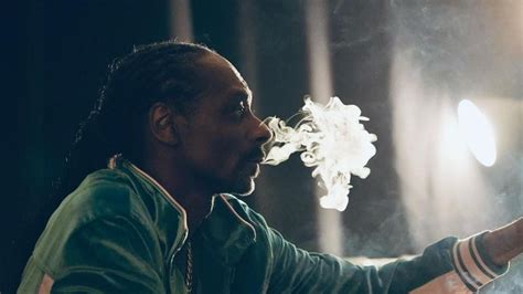 How Much Weed Does Snoop Dogg Actually Smoke Details