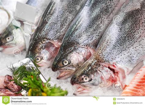 Fresh Fish On Ice At Grocery Stall Stock Image Image Of Consumerism