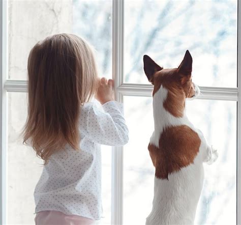 Discover great deals on home decor and more when you shop at belk®. Window Inserts | Indoor Storm Windows | Energy Interior ...