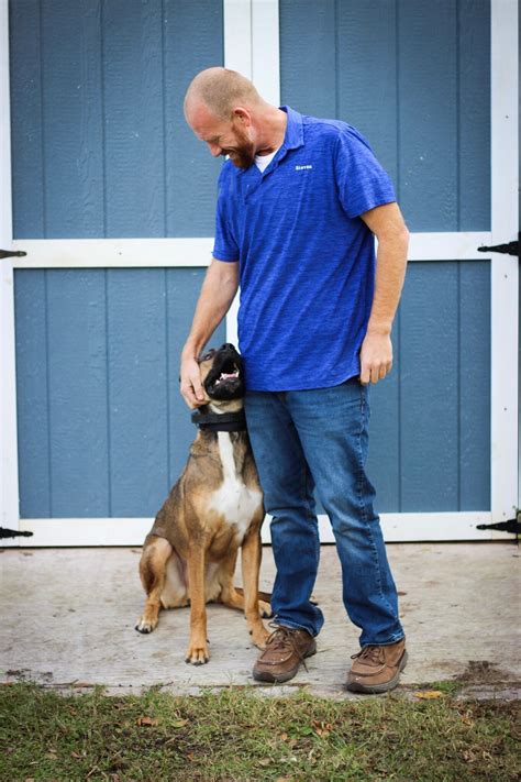 The Orlando Dog Trainer Howey In The Hills Fl