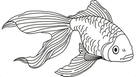 Free printable template fish coloring pages books pdf for kids, toddler, kindergarten and preschool. 8+ Fish Coloring Pages - JPG, AI Illustrator | Free ...