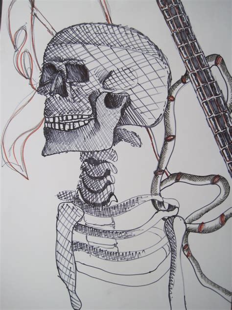Skeleton Drawings