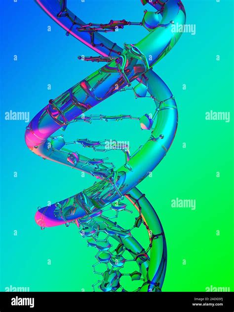Dna Molecule Computer Artwork Dna Deoxyribonucleic Acid Forms A