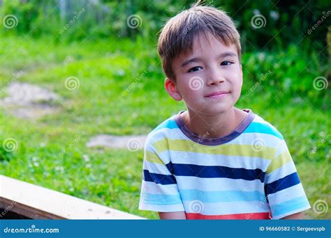 Portrait Of A Seven Year Old Boy Stock Photo Image Of Face Concept