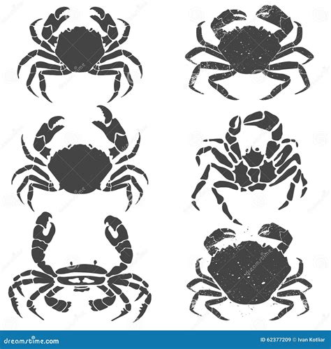 Crabs Set Stock Vector Illustration Of Nature Menu 62377209