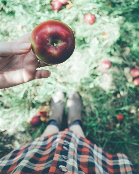 The 10 Best Places To Go Apple Picking In Vermont New England With