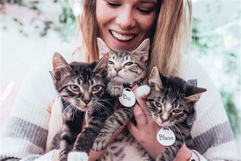 Get your paws on these adorable gifts for cat lovers and delight your friends and family! Unique Gifts For Cat Lovers Canada