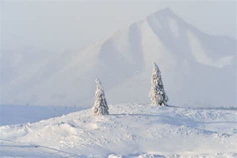 Winter Landscape Of Oymyakon Yakutia Russia Stock Photo Image Of