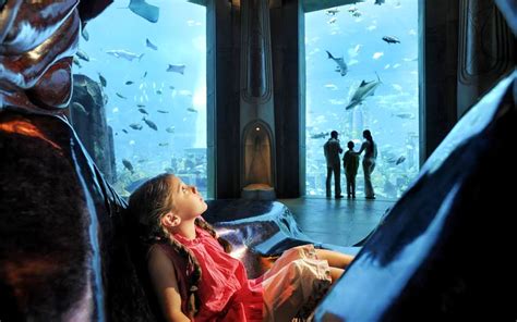 Lost Chambers Aquarium Atlantis Backstage Tour