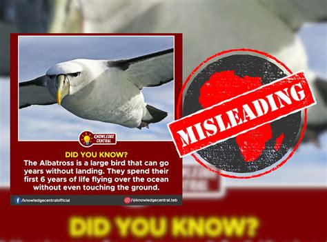 Albatross Remain At Sea For Several Years But Do Land On Water