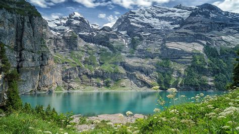 Switzerland Bernese Alps Lake Mountains Wildflowers Wallpaper