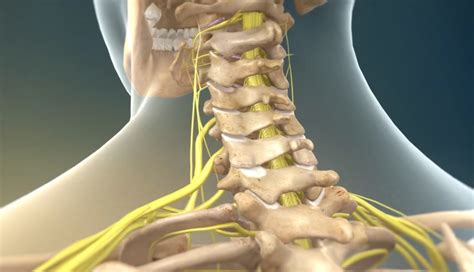Cervical Spine Pain Chart