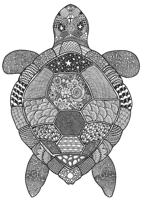 Zentangle Turtle Turtle Coloring Pages Sea Turtle Drawing Turtle