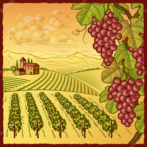 Vineyard Landscape — Stock Vector © Iatsun 5392021