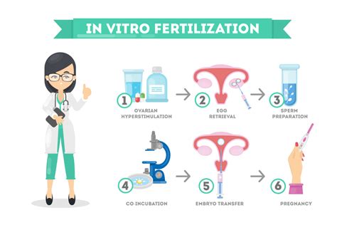 In vitro fertilization (ivf) is one of the most effective fertility treatments, as it can be done using your own gametes (eggs and sperm), donor gametes or embryos or even a gestational carrier. A Guide to IVF Treatment - Newlife Fertility Centre