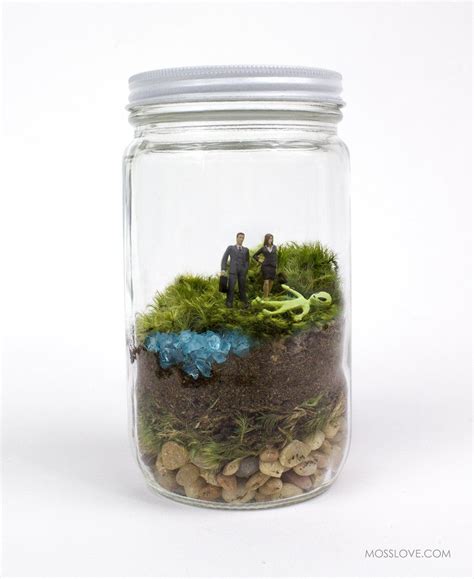 Moss terrariums are super fun to make and easy to care for. Terrarium // X-Files Inspired | Terrariums kits, Terrarium ...