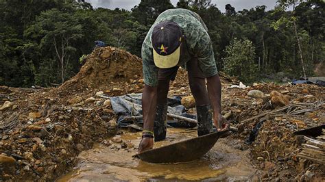 How Illegal Gold Mining Relates To The Spread Of Malaria Npr