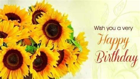 Happy Birthday Wishes Sunflowers Cassidy Pepper