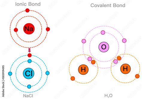 Vecteur Stock Ionic Covalent Bonds Examples Chemical Structural Models