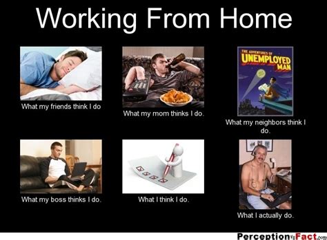 Working From Home What People Think I Do What I Really Do