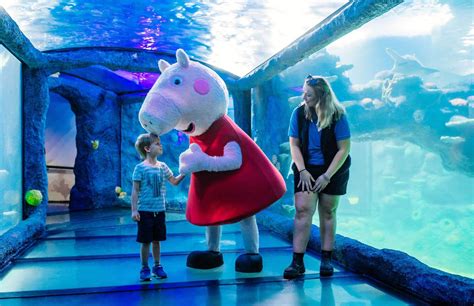 Join Peppa Pig On Her Aquarium Adventure At Sea Life Sydney Aquarium