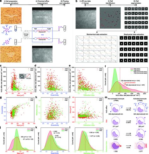 Ncc For Monitoring Of Multimodal Immune Response Heterogeneities A