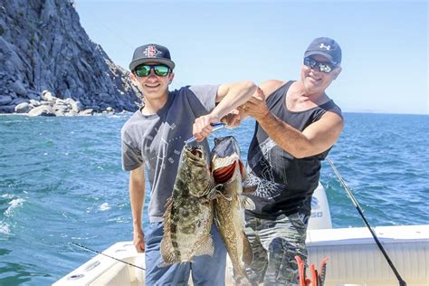Baja Sportsfishing Favorite Bite - Baja Fishing Report ...