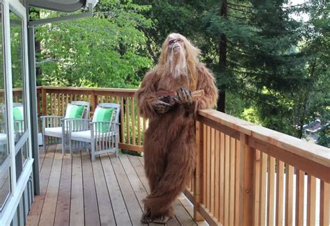 Someone Posed As Bigfoot In This 999000 House Listing And The Photos