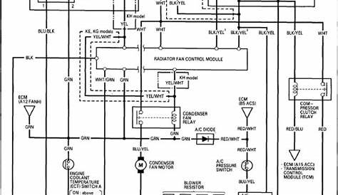 1994 Honda Accord Wiring Schematics - Wiring Diagram
