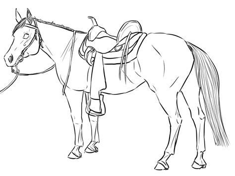 Horse coloring pages whether ridden by a cowboy in the wild west, or a princess in an enchanted forest, horses are an animal beloved by kids of all ages. Western Horse Lineart by citruscoffins on DeviantArt