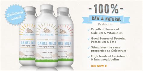 Yet, a lot of us stop drinking milk as we grow older because of difficulty in digesting high levels of lactose in buffalo or cow milk, which are the most this leads to the easy absorption of nutrients in the intestine. The Cure in Camel Milk, a Miraculous Medicine