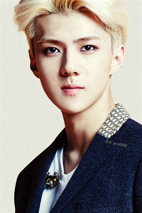 Scan season s greetings 2020 sehun exo entertainment luhan. Sehun - EXO Photo (36341217) - Fanpop