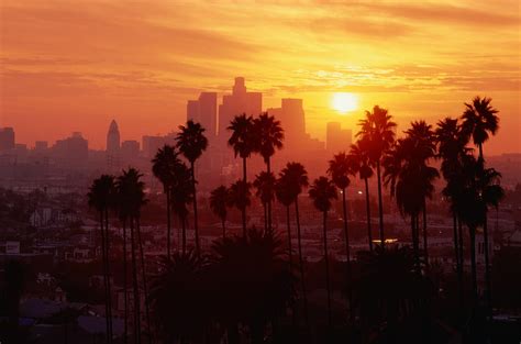 Hd Wallpaper Palm Tree City The City Usa Los Angeles California