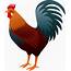 Colorful Rooster Design  Free Clip Art