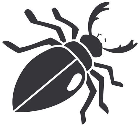 Escarabajo Insecto Alas Gráficos Vectoriales Gratis En Pixabay Pixabay