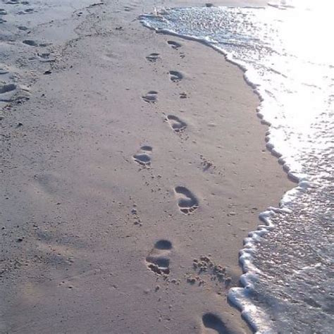 Footprints In The Sands Of Time 2011 Gulf Shores Al Orange Beach