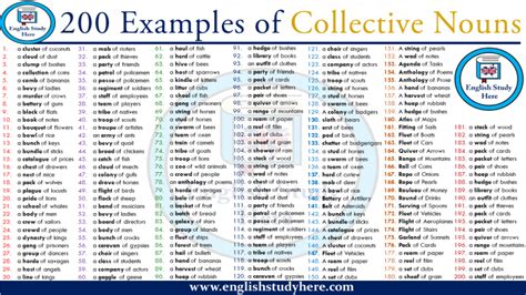 Collective Nouns List A Z English Study Here