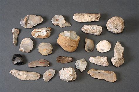 A Collection Of 22 Prehistoric Mesolithic Middle Stone Age Flints A