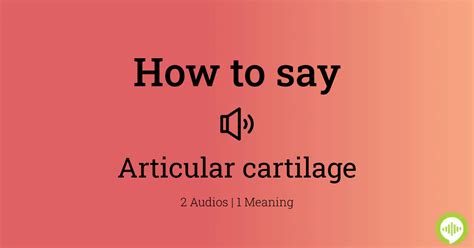 How To Pronounce Articular Cartilage