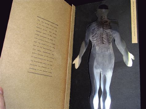 Early Human Anatomy Exhibit Guide on Behance