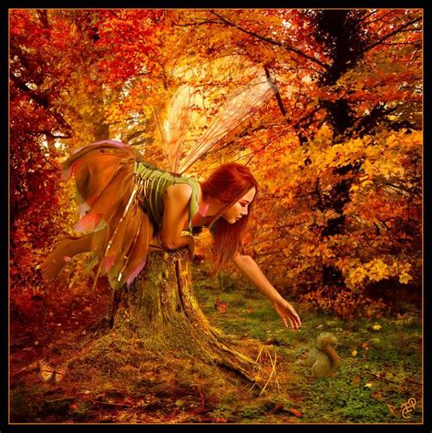 Autumn Fairy Fairy Pictures Fairy Background