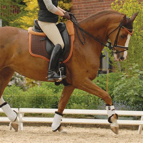 Mattes are used in photography and special effects filmmaking to combine two or more image elements into a single, final image. Country Sporthorse: Friday Fabulous ; Mattes Eurofit Pad