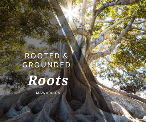 Good Roots Rooted And Grounded Maryann Ward
