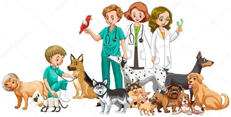 Veterinario — profesional de la salud que se especializa en las causas y el tratamiento de las enfermedades y trastornos de los animales domésticos y salvajes. Vétérinaires et nombreux animaux — Image vectorielle ...