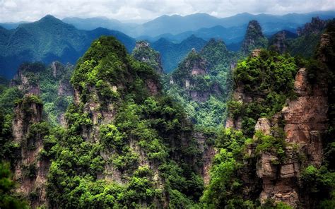 Nature Landscape Mountain Forest China Avatar