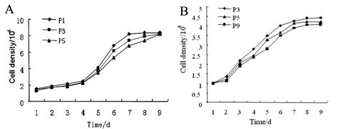 The cells may be removed from the tissue directly and disaggregated by enzymatic or mechanical means before cultivation. Stem Cell Culture Collection - Promising Strategy for ...