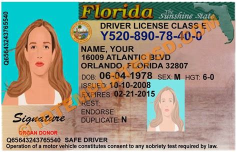 10 Florida Drivers License Template Template Free Download